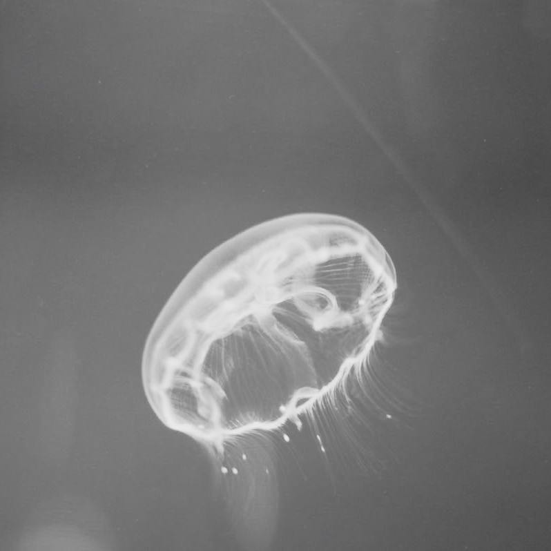 How to create an awesome brand using artificial intelligence mono header (1)